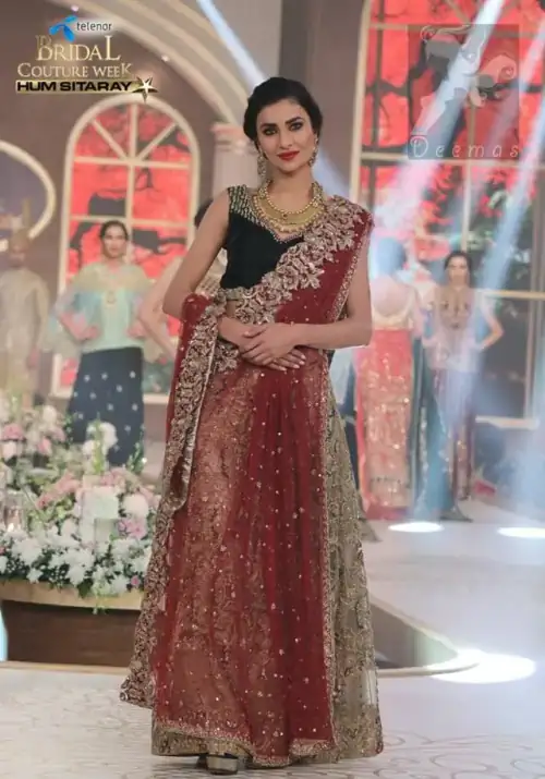 Black Velvet Blouse - Fawn Embroidered Skirt - Deep Red Dupatta