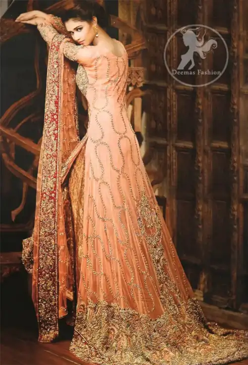 Latest Pakistani Peach Back Trail Shirt Style Maxi with Banarsi Sharara