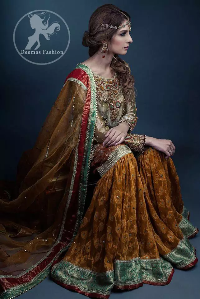 Multiple Color Traditional Mehndi Wear Gharara
