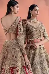 Copper Rust Embellished Lehengha Blouse Dupatta