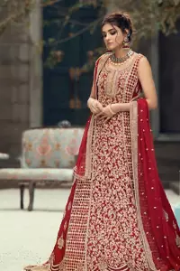 A marvellous back train, an elegant can-can style, styled with a ravishing criss-cross pattern and decorated with floral motifs. Red Center Panel Back Train Maxi n Dupatta.