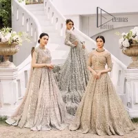 Silver Back Train Flare Maxi – Dupatta - Image 1
