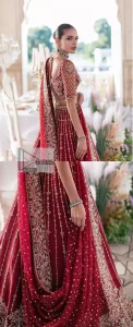 Deep Red Blouse – Flare Lehenga n Dupatta - Image 10