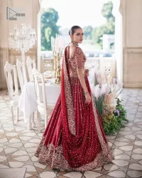 Deep Red Blouse – Flare Lehenga n Dupatta - Image 1
