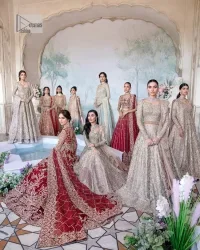 Deep Red Blouse – Flare Lehenga n Dupatta - Image 7