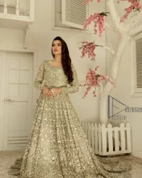 Silver Back Train Flare Maxi – Dupatta - Image 12