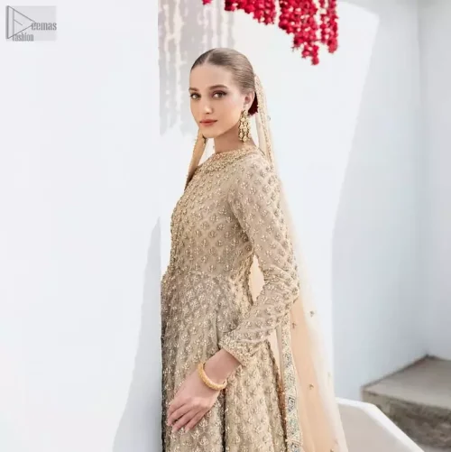 Rear perspective of light fawn organza maxi and farshi lehenga showing graceful train drape.