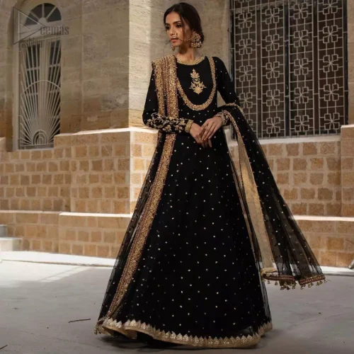 Sheer full sleeves and pure katan organza fabric texture on black pishwas.