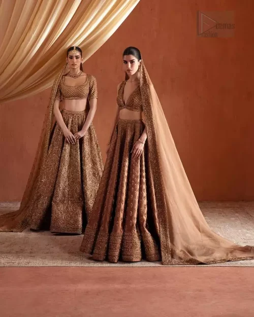Four-sided embroidered borders on bronze organza dupatta.