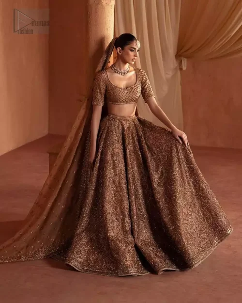 Heavily embellished jall pattern on bronze raw silk lehenga.