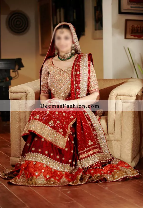 Deep Red Rust Bridals Wear Lehnga